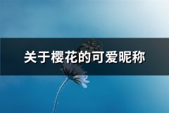 关于樱花的可爱昵称(109个)
