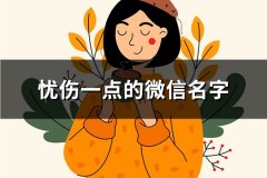 忧伤一点的微信名字(共113个)