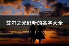 艾尔之光好听的名字大全(150个)