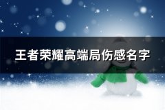 王者荣耀高端局伤感名字(共123个)