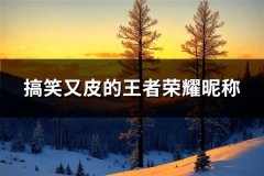 搞笑又皮的王者荣耀昵称(125个)