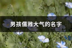 男孩儒雅大气的名字(83个)