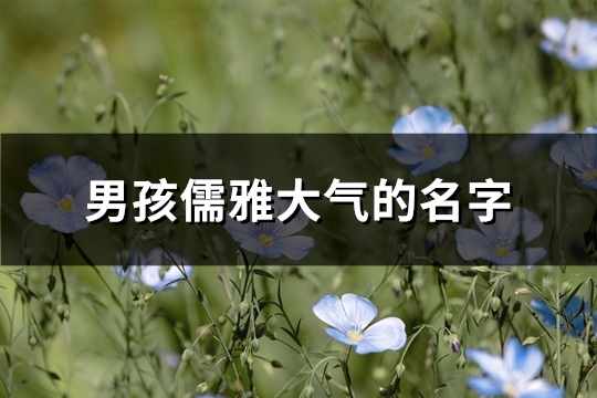 男孩儒雅大气的名字(83个)