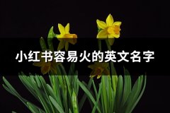 小红书容易火的英文名字(精选95个)