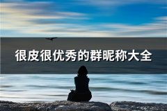 很皮很优秀的群昵称大全(92个)
