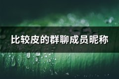 比较皮的群聊成员昵称(精选137个)
