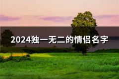 2024独一无二的情侣名字(102对)