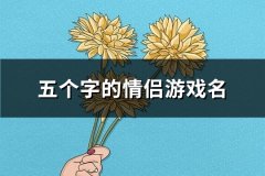 五个字的情侣游戏名(精选100对)