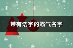 带有浩字的霸气名字(139组)
