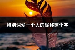 特别深爱一个人的昵称两个字(共102个)