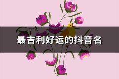 最吉利好运的抖音名(98个)