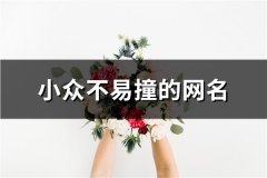 小众不易撞的网名(精选108个)