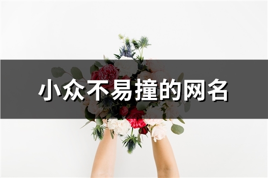小众不易撞的网名(精选108个)