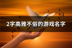 2字高雅不俗的游戏名字(105个)