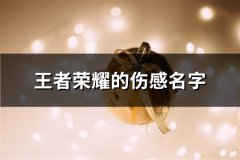 王者荣耀的伤感名字(107个)