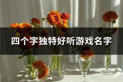 四个字独特好听游戏名字(精选83个)