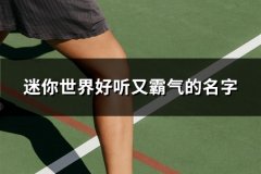 迷你世界好听又霸气的名字(共93个)