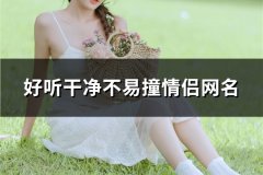 好听干净不易撞情侣网名(99对)