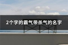 2个字的霸气带杀气的名字(89个)