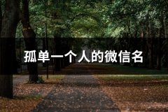 孤单一个人的微信名(133个)