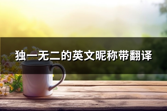 独一无二的英文昵称带翻译(共116个)