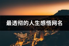 最透彻的人生感悟网名(128个)