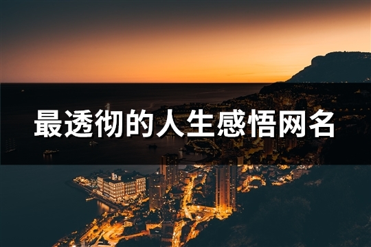最透彻的人生感悟网名(128个)