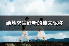 绝地求生好听的英文昵称(共85个)