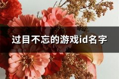 过目不忘的游戏id名字(85个)