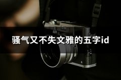 骚气又不失文雅的五字id(共123个)