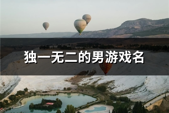 独一无二的男游戏名(共112个)