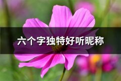 六个字独特好听昵称(共117个)