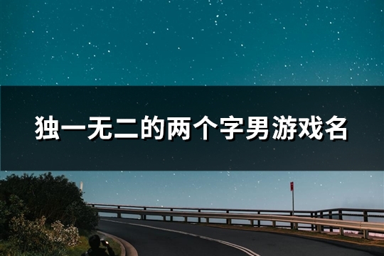 独一无二的两个字男游戏名(精选89个)