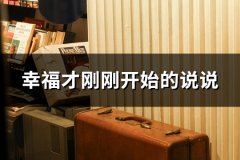 幸福才刚刚开始的说说