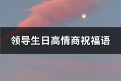 领导生日高情商祝福语