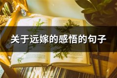 关于远嫁的感悟的句子