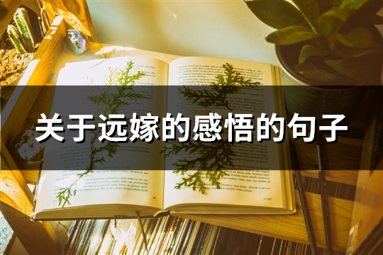 关于远嫁的感悟的句子