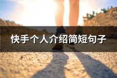 快手个人介绍简短句子