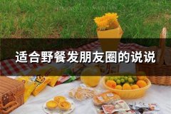 适合野餐发朋友圈的说说