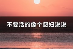 不要活的像个怨妇说说