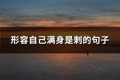 形容自己满身是刺的句子