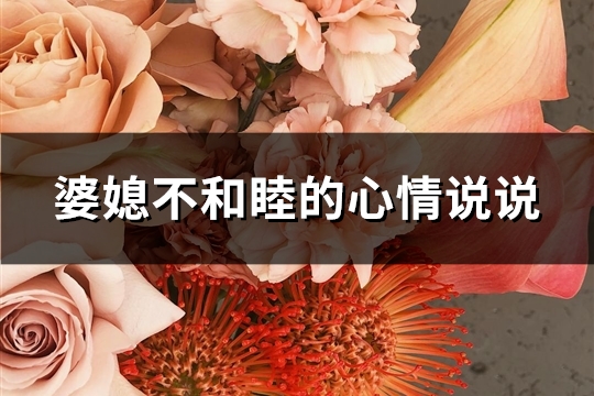 婆媳不和睦的心情说说