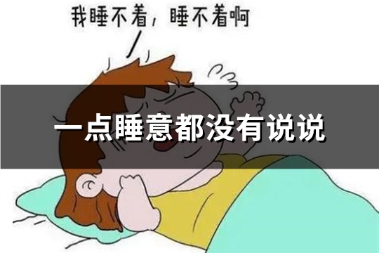 一点睡意都没有说说