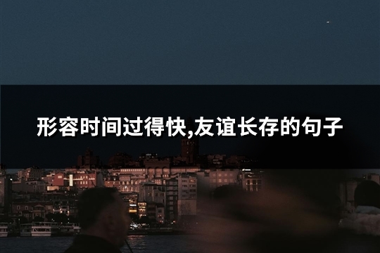 形容时间过得快,友谊长存的句子