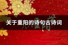关于重阳的诗句古诗词